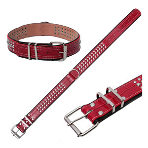 Товар: Пижон ошейник лакированный M