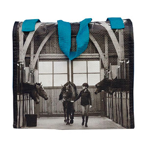 Товар: Набор для ухода за лошадьми