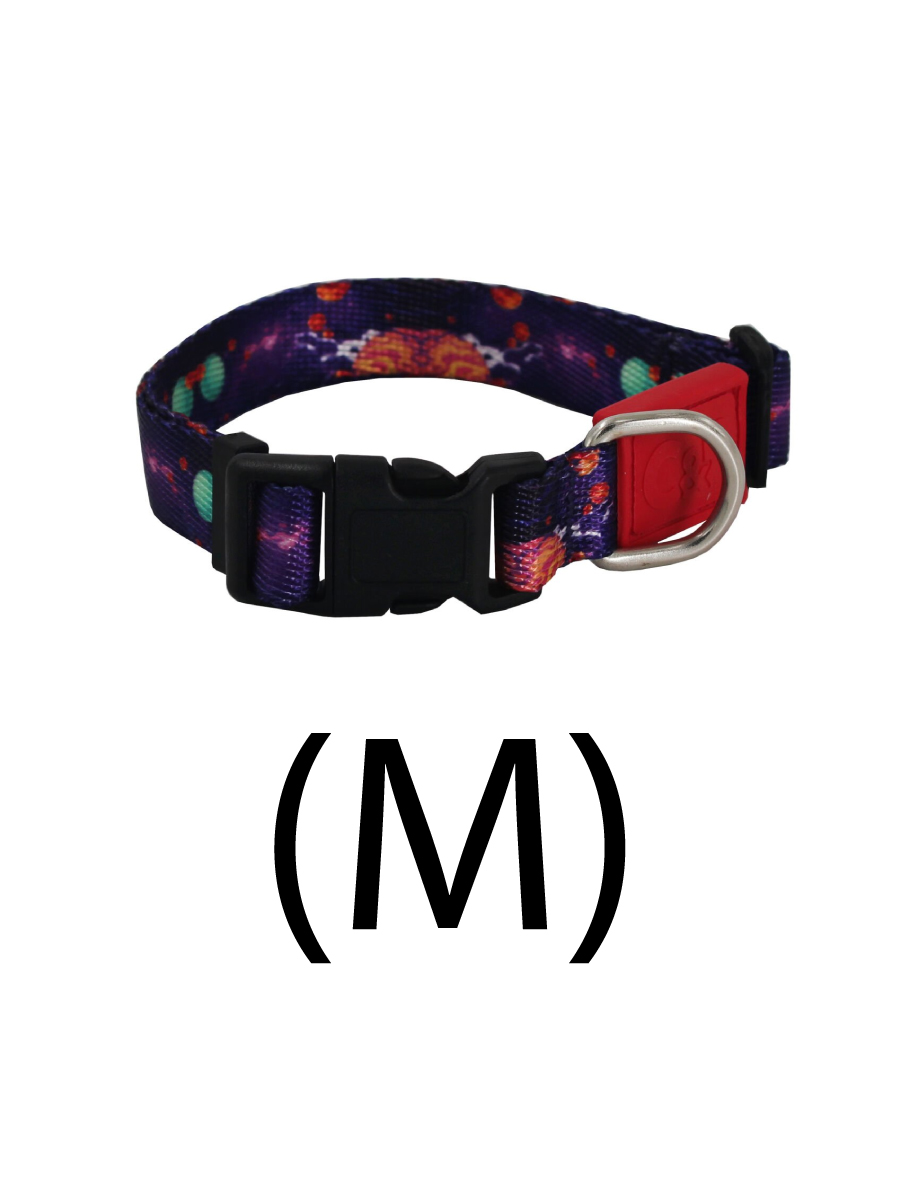 Товар: Lepus ОШЕЙНИК ДЛЯ СОБАКИ С УЗОРОМ (M)