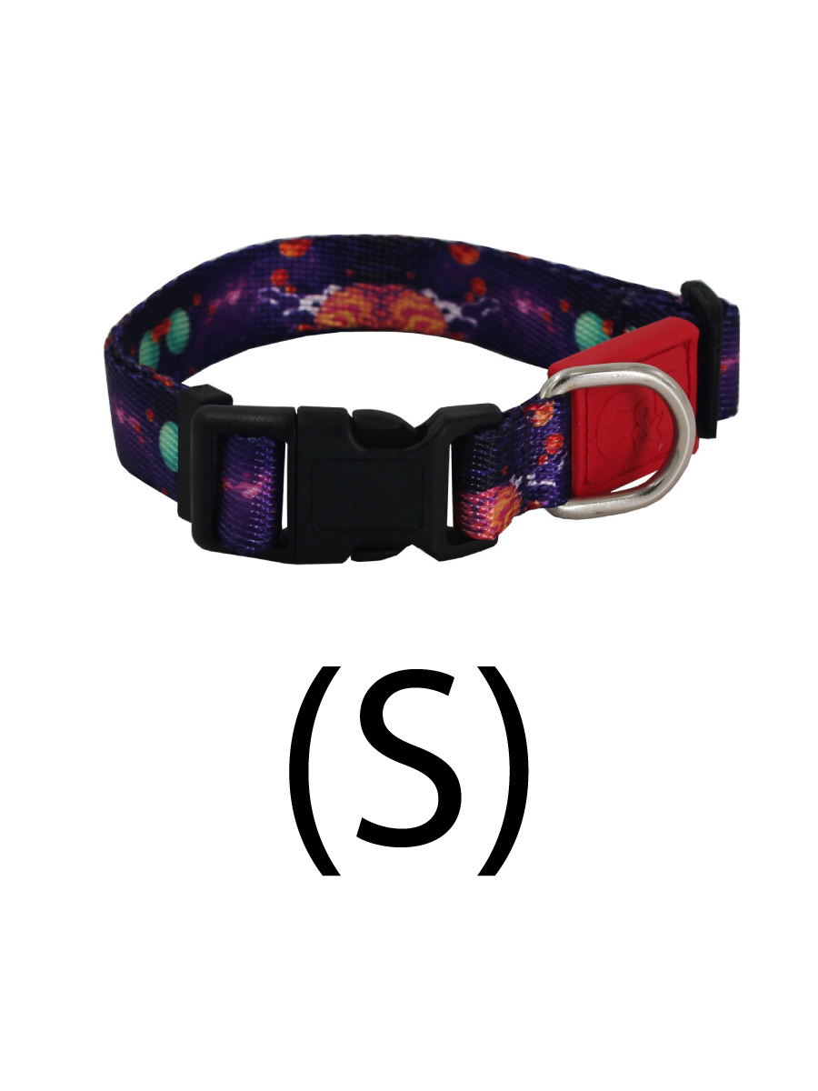 Товар: Lepus ОШЕЙНИК ДЛЯ СОБАКИ С УЗОРОМ (S)