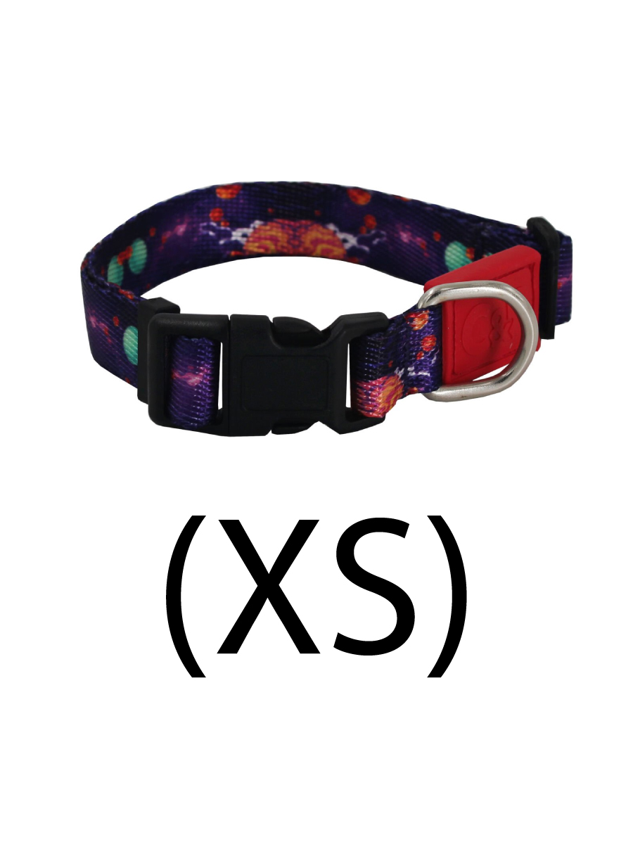 Товар: Lepus ОШЕЙНИК ДЛЯ СОБАКИ С УЗОРОМ (XS)